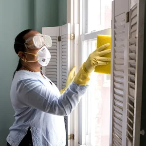 domestic cleaning south wales