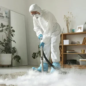 steam carpet cleaning in south wales